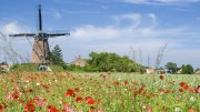 Vollmundiger Genuss in Zeeland ab 109&euro; statt 270,90&euro;