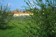 Wandern in den Weinbergen der Pfalz f&uuml;r 99&euro; statt 148&euro;