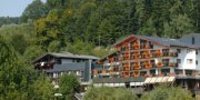 Wellnessurlaub im Schwarzwald: 2 Personen, 2 &Uuml;bernachtungen f&uuml;r 168&euro; statt 328&euro;