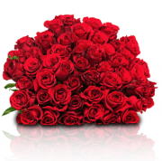 XL-Rosenstrau&szlig; "Classic Red" aus 44 roten Rosen jetzt f&uuml;r 24,98 Euro inkl. Versand bei Blume Ideal