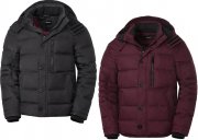 Zerberus Warm-wattierte Herren Steppjacke windabweisend und k&auml;lteisolierend in 3 Farben