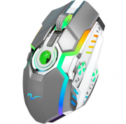 Zienstar wiederaufladbare kabellose RGB LED Gaming Maus mit USB-Empf&auml;nger