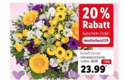 Zum Muttertag: LIDL Blumen mit 20% Rabatt ohne Mindestbestellwert + VSK-frei